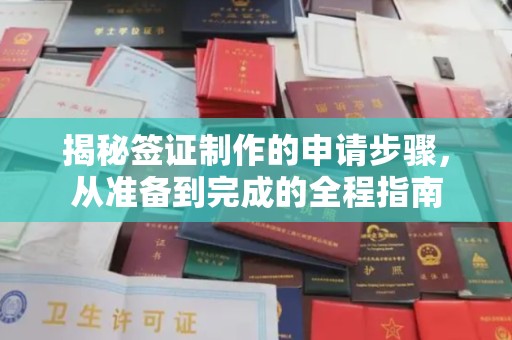 西昌揭秘签证制作的申请步骤，从准备到完成的全程指南